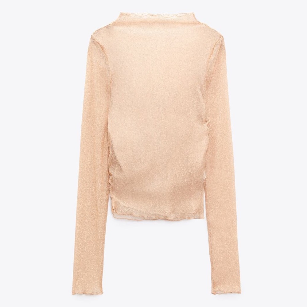 Zara glittery top